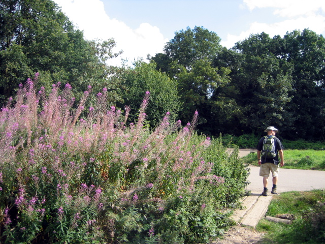 Hadley Common