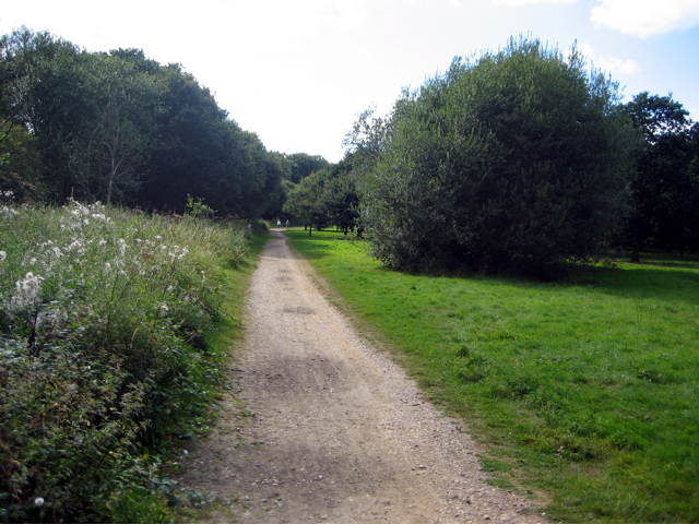 Path