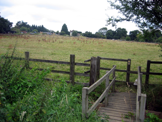 Bridge