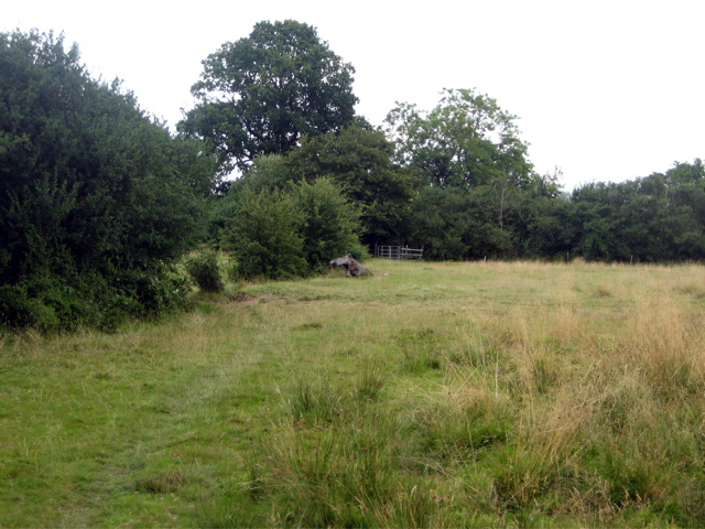 Field