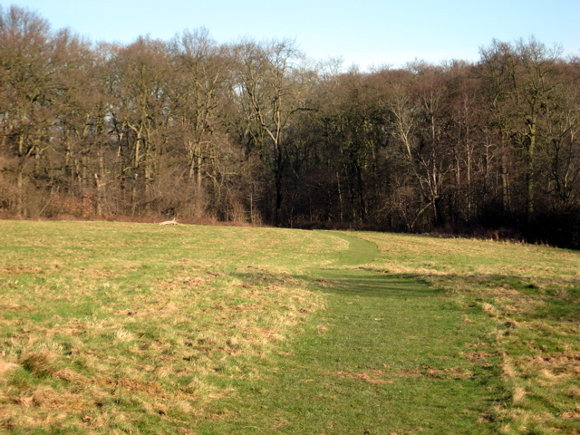 Enfield Chase