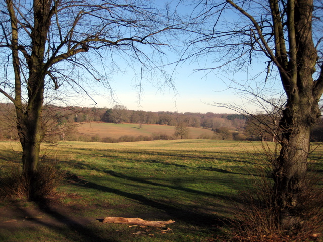 Enfield Chase