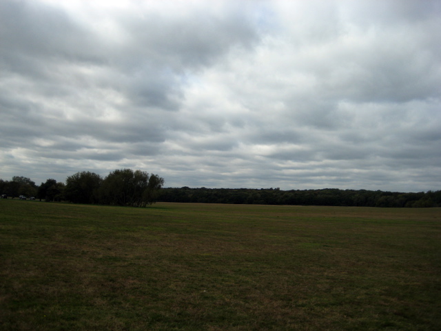 More fields