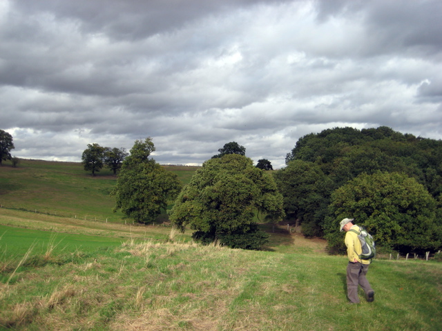 Last set of fields