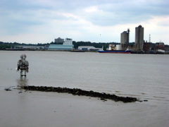 Art in the Thames