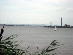 The Dartford Crossing