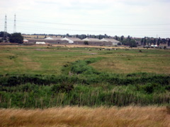 Aveley Marshes