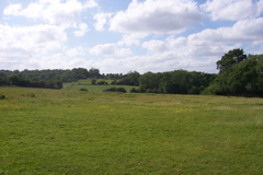 The open fields of Sidcup