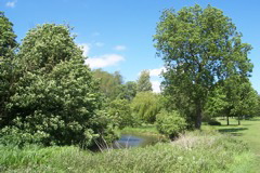 Back on the River Cray