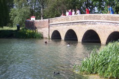 Kids swim in the River