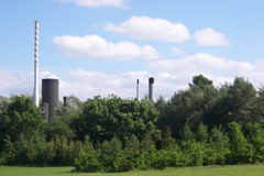 A factory disguised in the trees