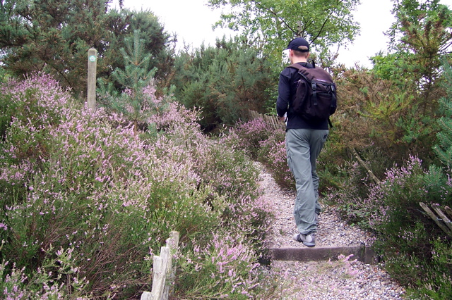 Scramble up to the viewing platform.