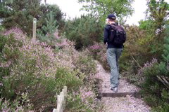 Scramble up to the viewing platform.