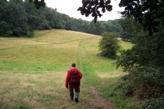 Despite the rain, Tom enters the field.