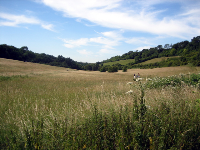 Happy Valley