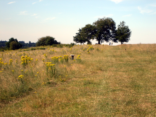 The Downs are Long