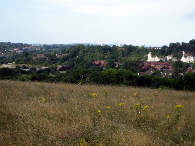 Still on the Downs