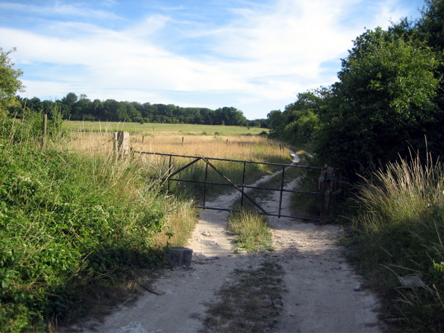 Country Lanes