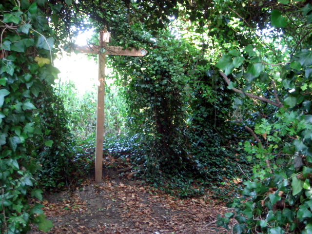 Signpost