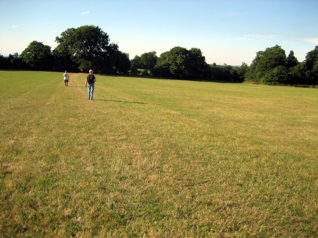 Field