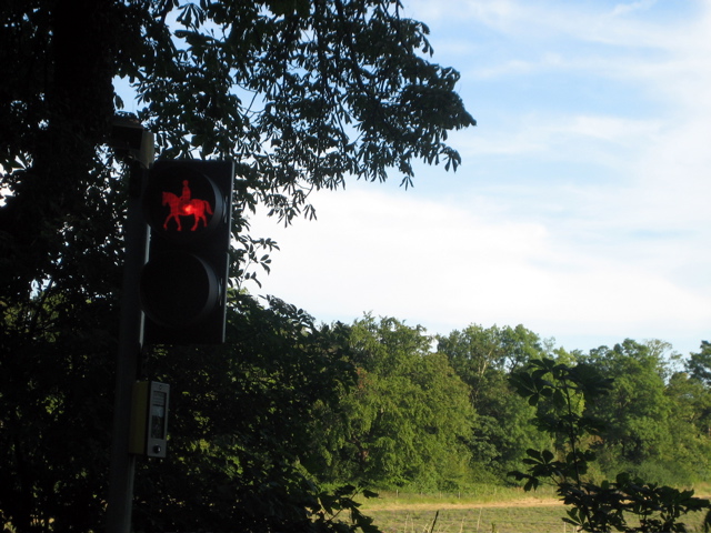 Horse Crossing