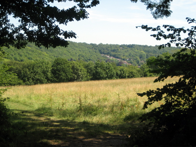 Field