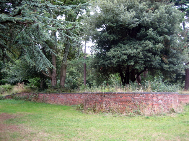 Ancient remains
