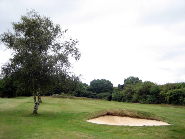 Golf Course Action!