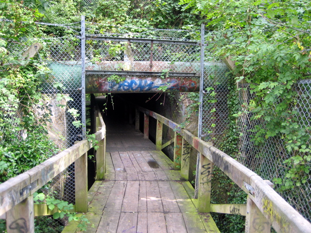 Back of the Tunnel