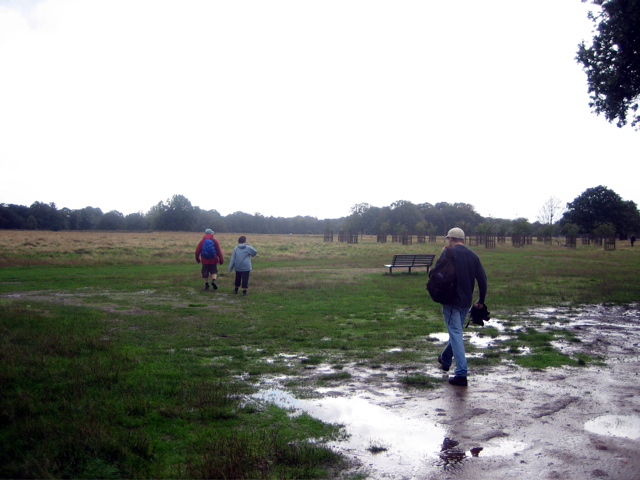 Wet Bushy Park