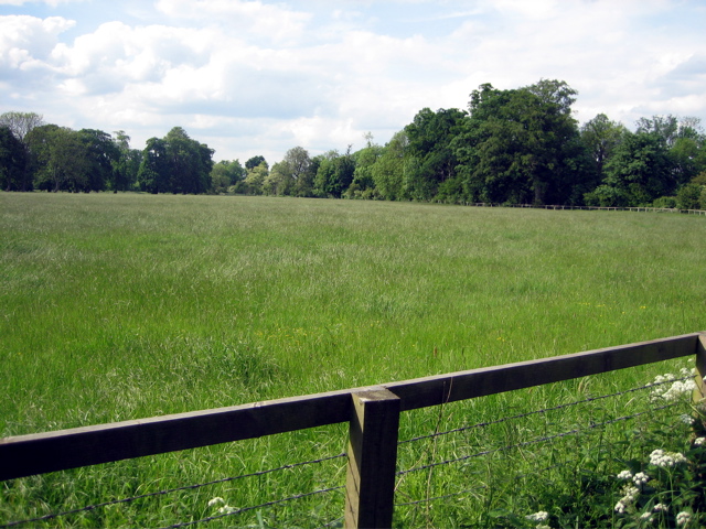 Field