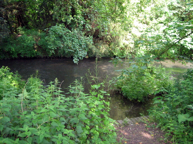 The river runs deep
