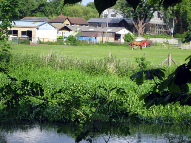 The Colne River