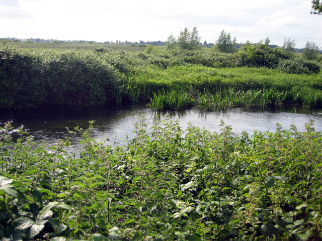 Colne River