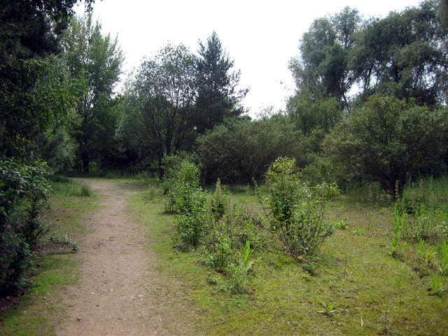 Path