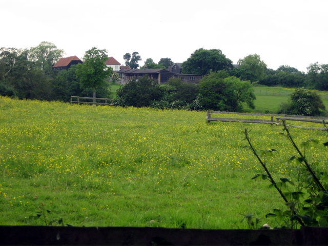 Field