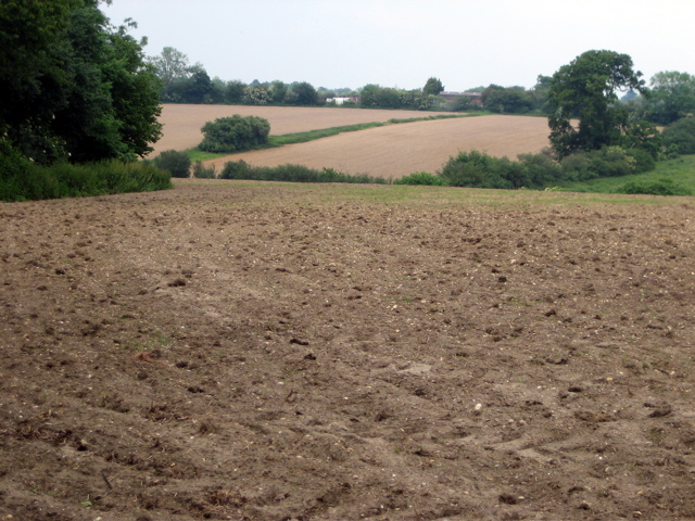 Field
