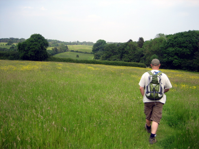 Back in the Fields