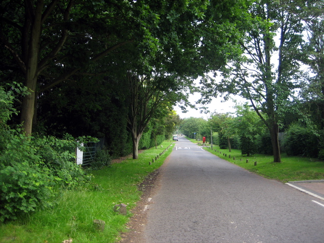 Road to nowhere