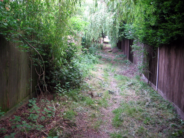 Suburban back alley